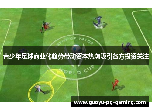 青少年足球商业化趋势带动资本热潮吸引各方投资关注 青少年足球商业化趋势带动资本热潮吸引各方投资关注