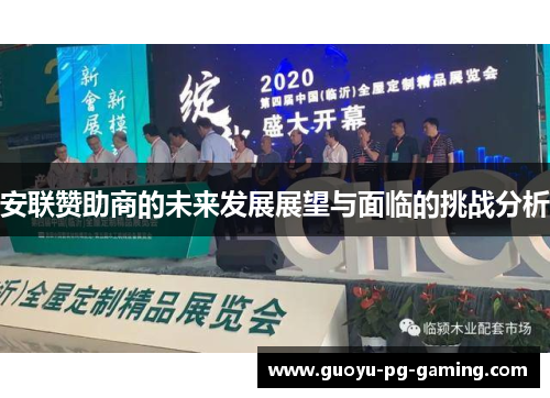 安联赞助商的未来发展展望与面临的挑战分析