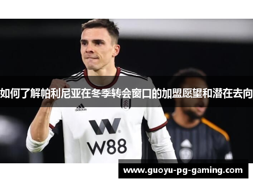 如何了解帕利尼亚在冬季转会窗口的加盟愿望和潜在去向 如何了解帕利尼亚在冬季转会窗口的加盟愿望和潜在去向