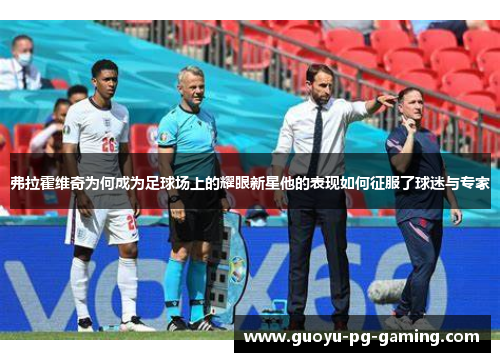 弗拉霍维奇为何成为足球场上的耀眼新星他的表现如何征服了球迷与专家 弗拉霍维奇为何成为足球场上的耀眼新星他的表现如何征服了球迷与专家