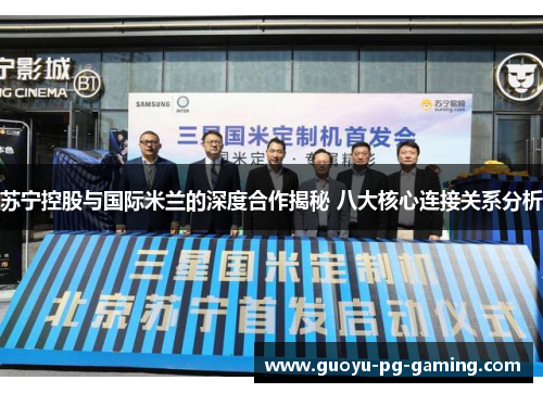 苏宁控股与国际米兰的深度合作揭秘 八大核心连接关系分析 苏宁控股与国际米兰的深度合作揭秘 八大核心连接关系分析