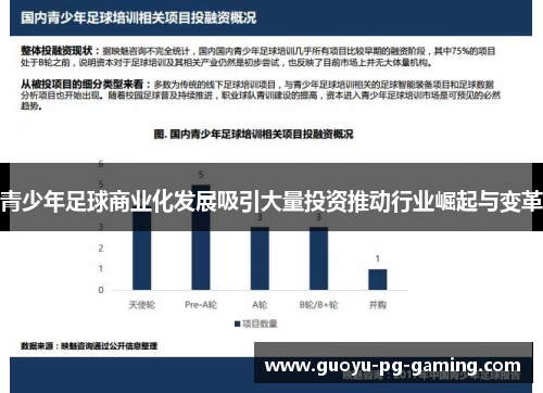 青少年足球商业化发展吸引大量投资推动行业崛起与变革