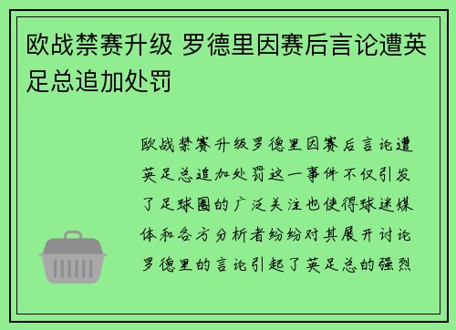 欧战禁赛升级 罗德里因赛后言论遭英足总追加处罚